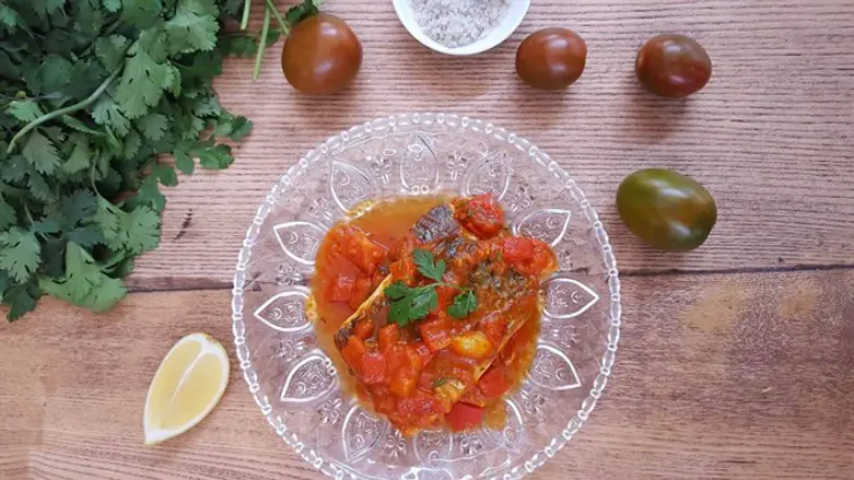 דג מהיר של משה שגב