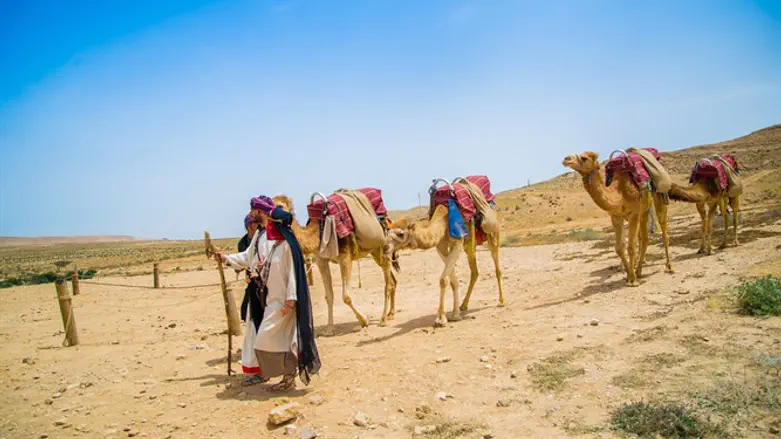 הכפר הנבטי בממשית