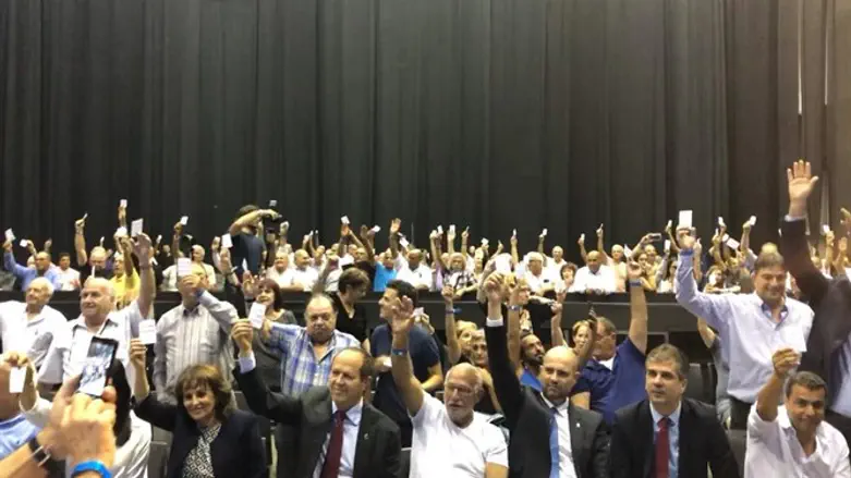 Likud Central Committee (archive)