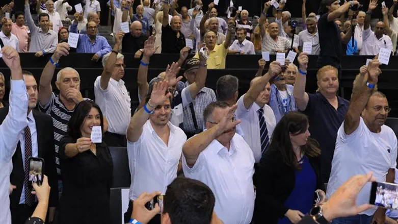 Vote in Likud Central Committee