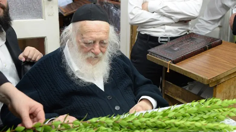 Rav Kanievsky's Hadasim