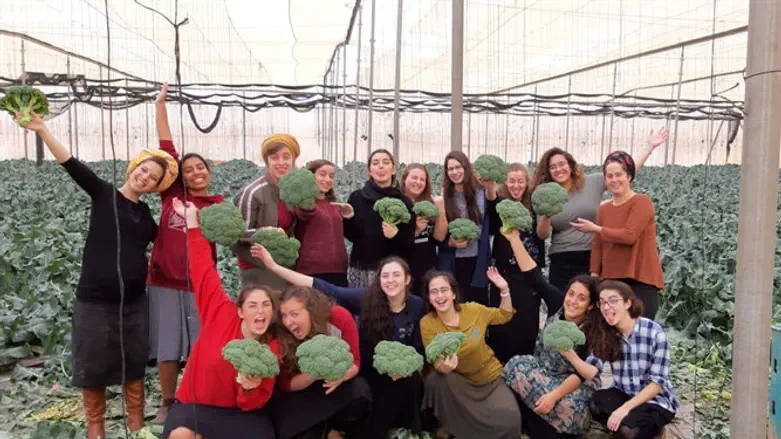 שירות לאומי באשכולות