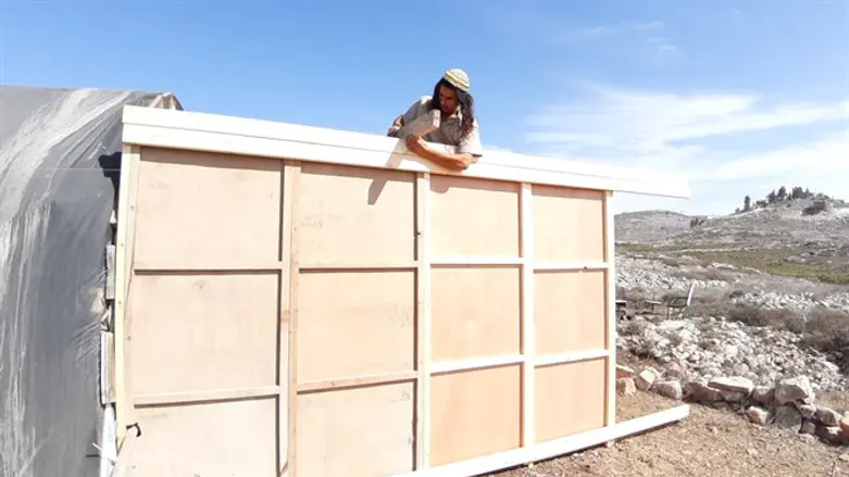 זארוג בונה סוכה