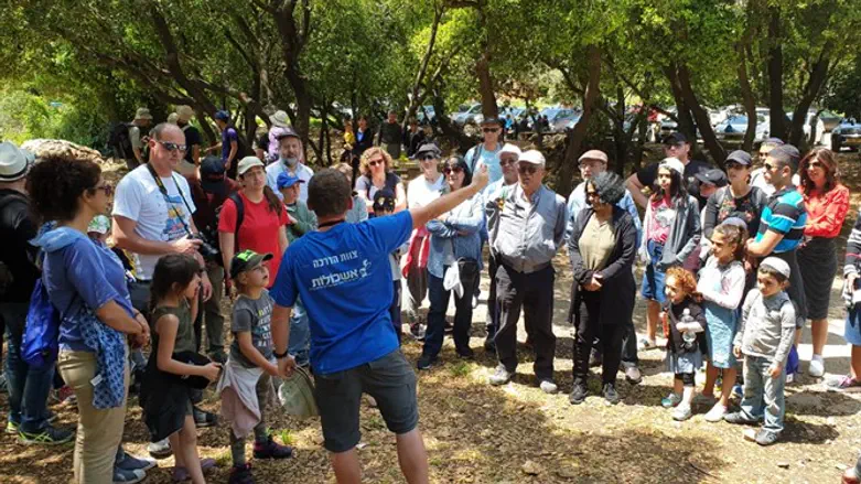 מטיילים ביחד