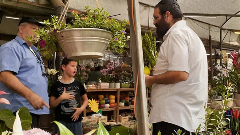 חסיד במהלך 'מבצע לולב'