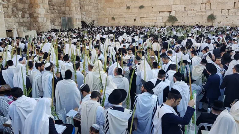 Молитва Ошана Раба у Западной Стены