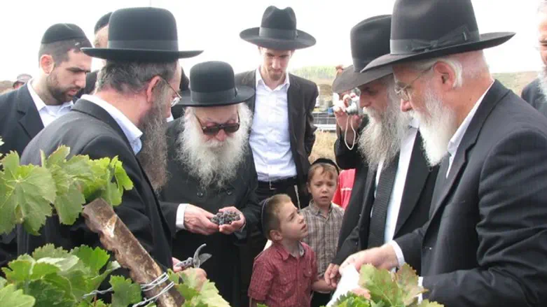 הרב קרליץ בביקור במושב גימזו