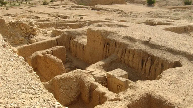 ארמונות החשמונאים