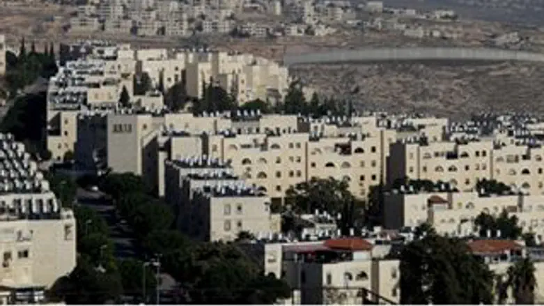 לא קלף מדיני. גילה