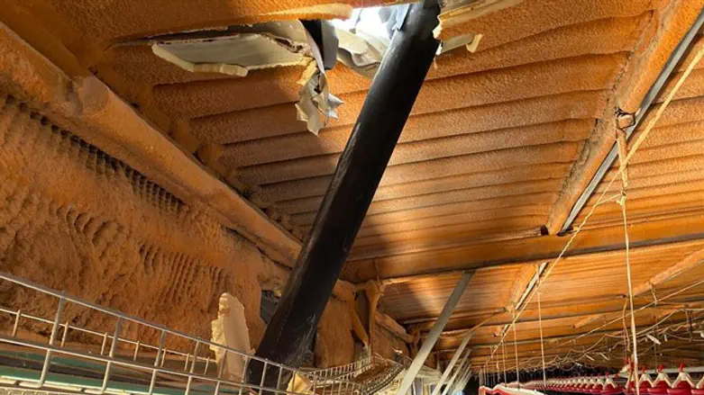 Попадание ракеты в курятник