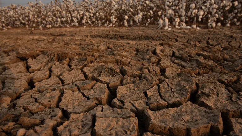 גשם, בוא. שדות מחכים