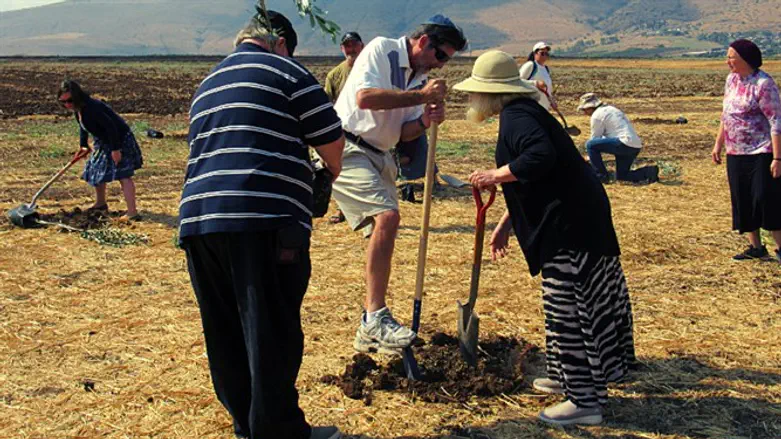 Buy a Piece of Israel