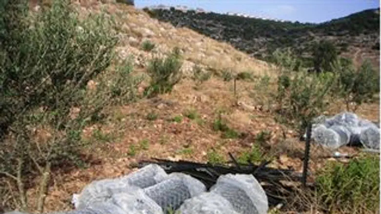 גידור בואדי קנה