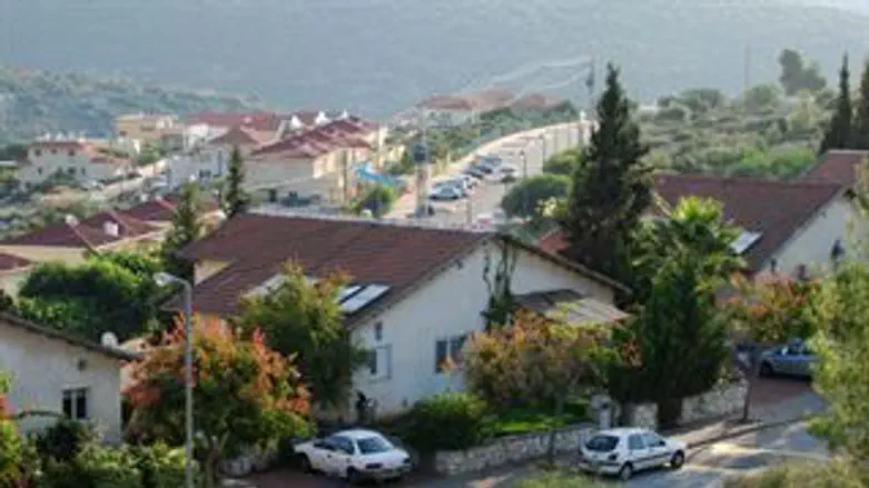 לך אתן את הארץ הזו