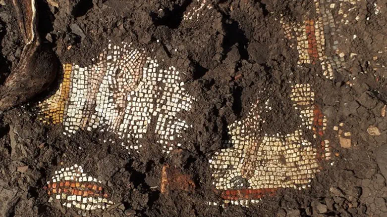 פסיפס צבעוני ומעוטר