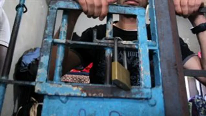 אילוסטרציה