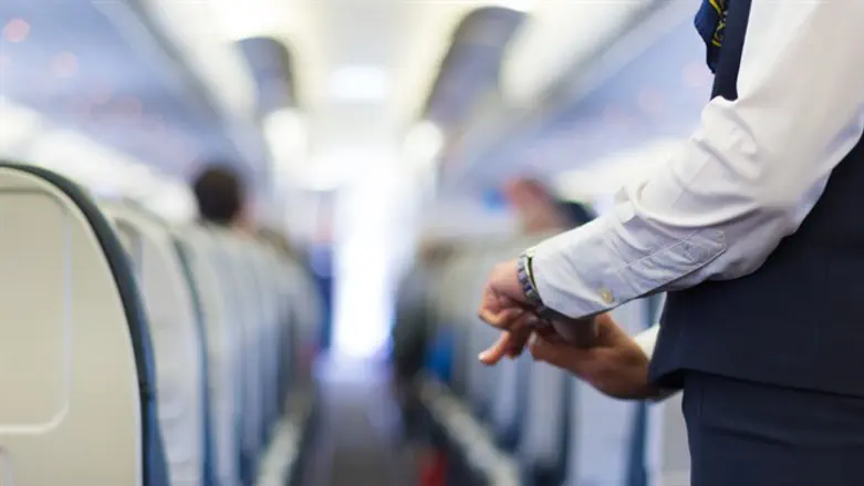 דיילת. אילוסטרציה