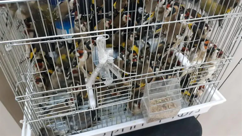 ניסיון ההברחה הגדול ביותר בשנתיים האחרונות