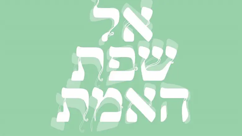 שפת אמת על המועדים