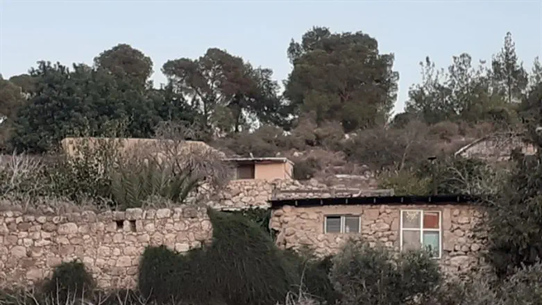 חוות שמשון