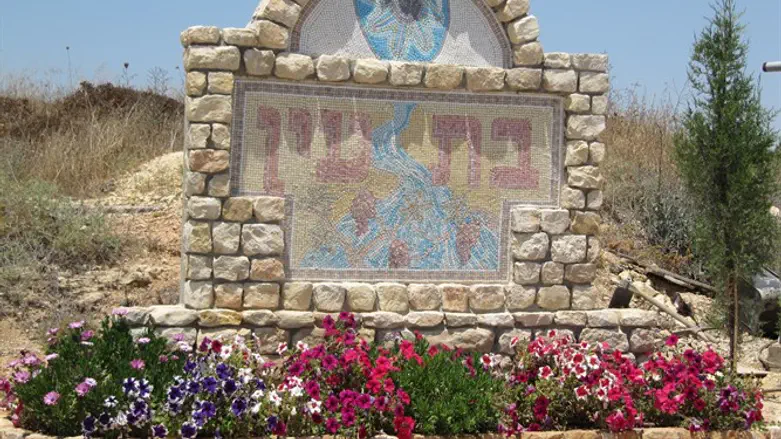 בת עין