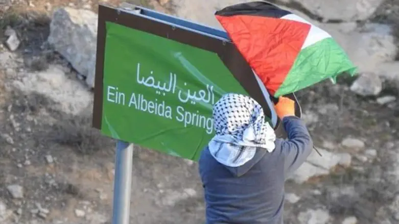 ונדליזים בהובלת פעילים אירופאים