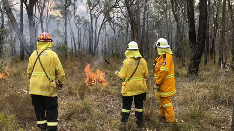 New South Wales Rural Fire Service observers during back burning operations near Picton