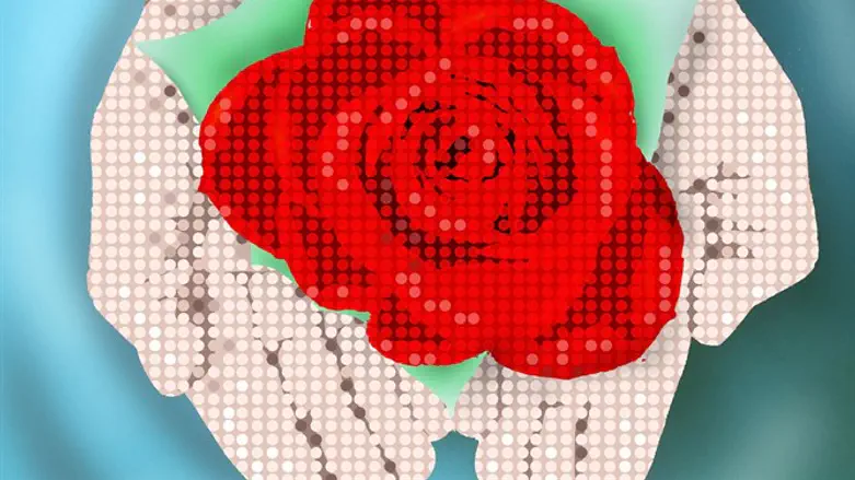 הבודקת ההלכתית הפכה לאייטם חדשותי. מנסים לפצח את רזי מסירותה. וזאת אכן מסירות