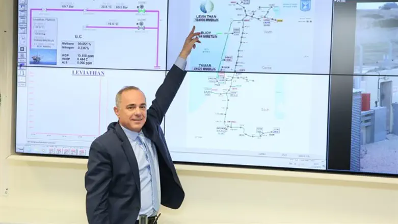 "ישראל הופכת למעצמת גז". השר שטייניץ