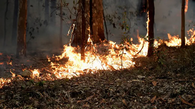 Australia bushfire