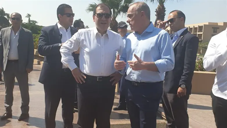 השר שטייניץ עם שר האנרגיה המצרי