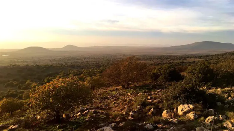 Заповедник Парк-ридж (иллюстрация)