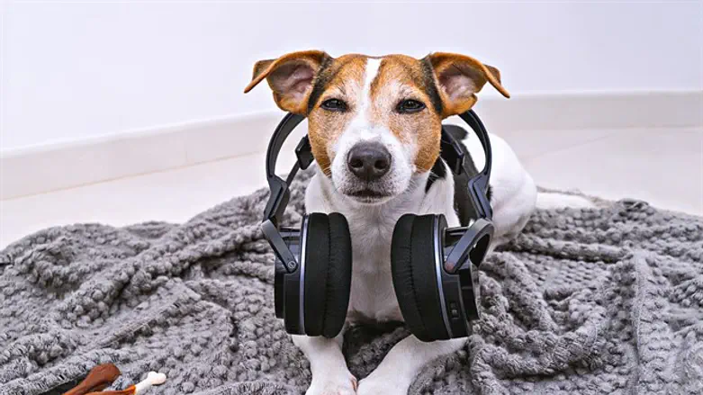 אילוסטרציה