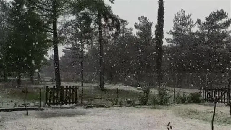 שלג בקיבוץ אלרום