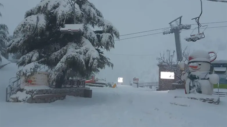 Heavy snowfall in the Hermon