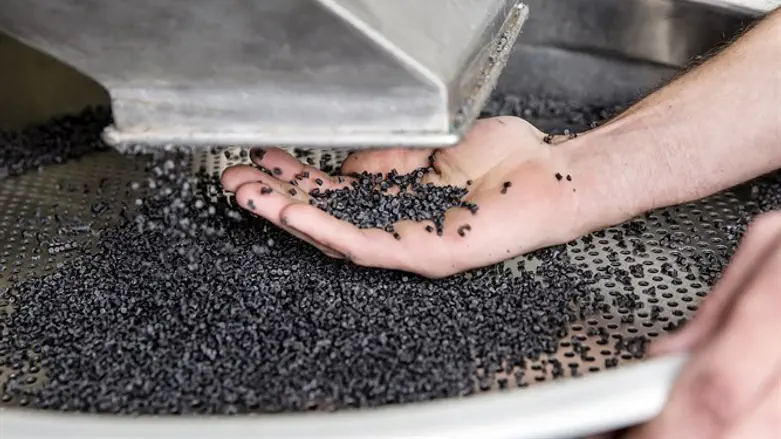 הופכים פסולת ביתית לחומר חדש דמוי-פלסטיק