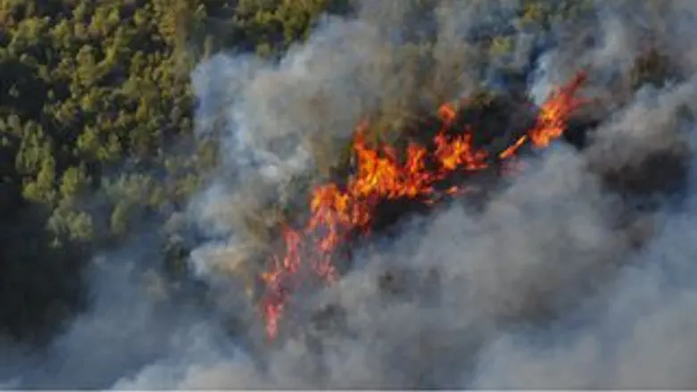 מתחילים לשלוט בשטח. האסון בכרמל