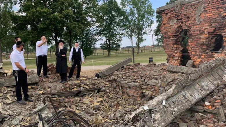 עצמות של יהודים צפות אחרי הגשם