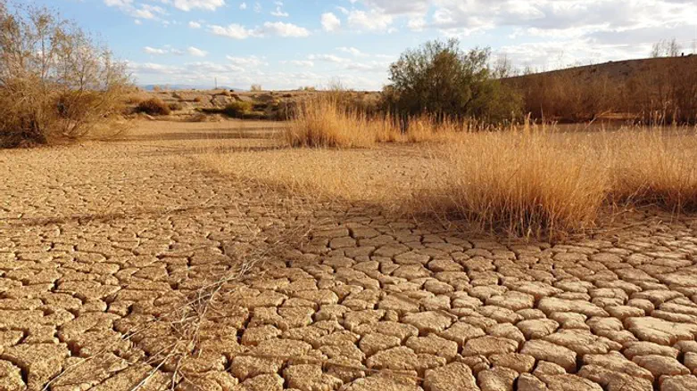 חוורים בערבה בתיכונה