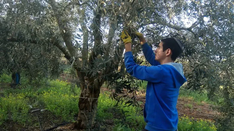 לומדים במרחבים
