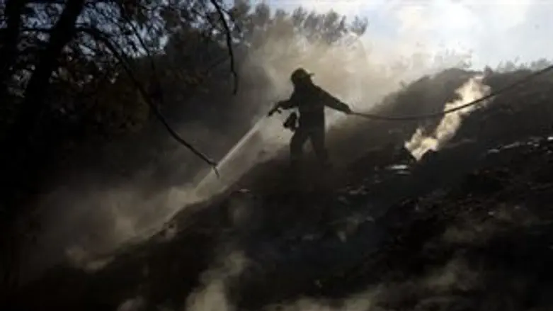 לחקור או לפתור