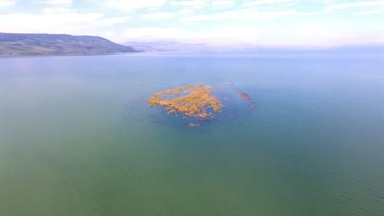 Rising waters cause Kinneret island to disappear