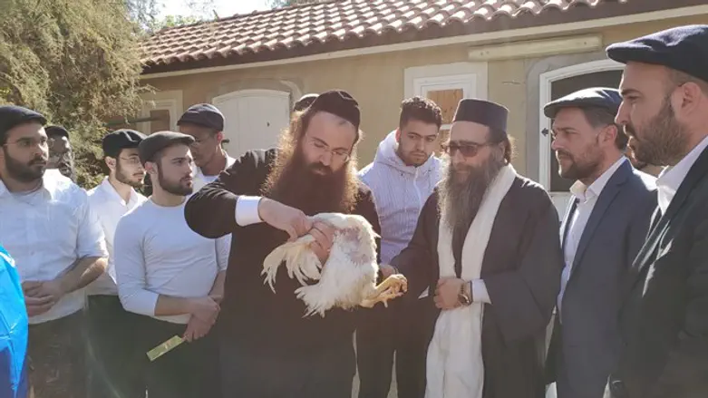 הרב פינטו בשחיטה