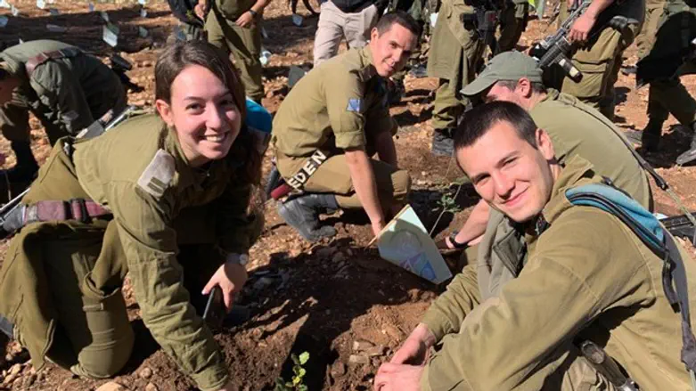 החיילים נוטעים