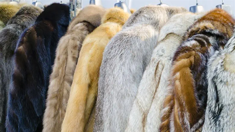 Fur coats