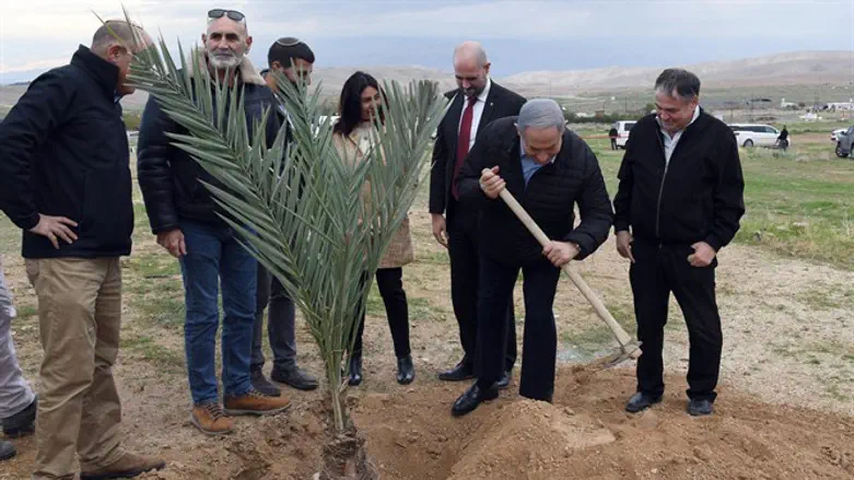נתניהו בנטיעות בבקעת הירדן