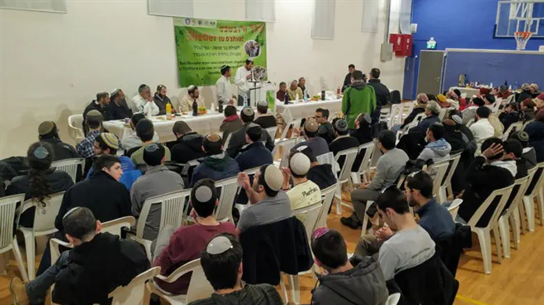 סדר טו' בשבט