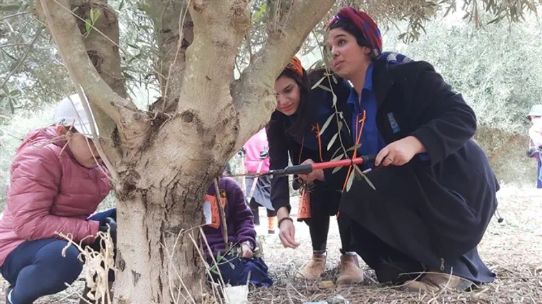 חניכי תנועת עזרא בנגב