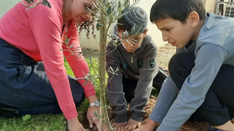 ב"ק במרכז קטיף