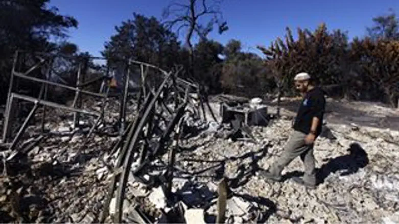 שרידי השריפה בכרמל.